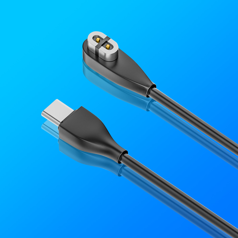 Magnetic Charger USB/Type-C Ch - Skyrc B6 Neo Smart Charger ulasan dan harga